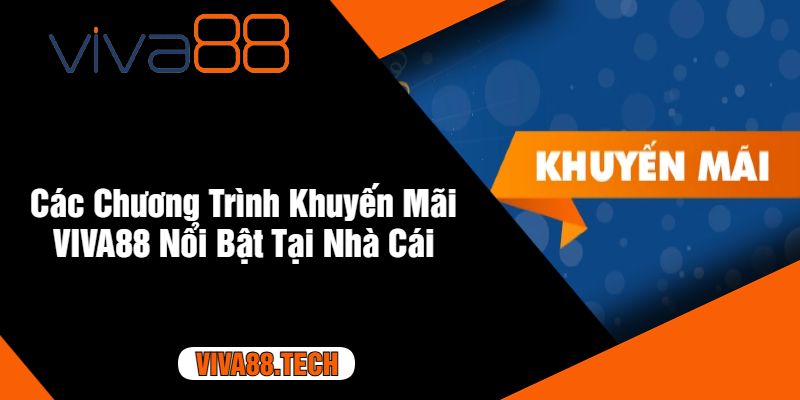 Các Chương Trình Khuyến Mãi VIVA88 Nổi Bật Tại Nhà Cái