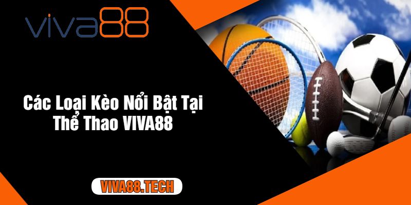 Các Loại Kèo Nổi Bật Tại Thể Thao VIVA88