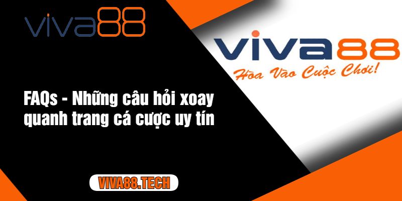 FAQs - Những câu hỏi xoay quanh trang cá cược uy tín