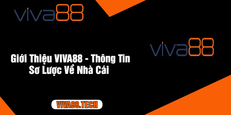 Giới Thiệu VIVA88 - Thông Tin Sơ Lược Về Nhà Cái 