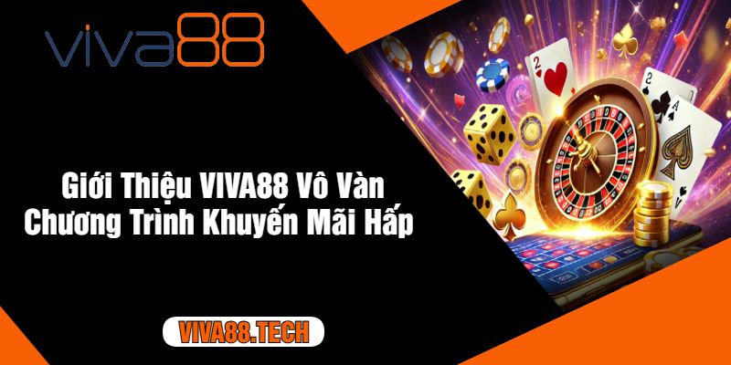 Giới Thiệu VIVA88 Vô Vàn Chương Trình Khuyến Mãi Hấp 