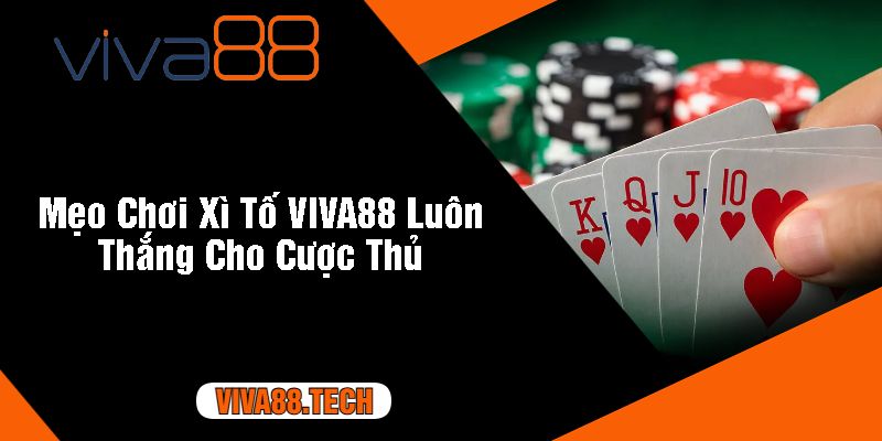 Mẹo Chơi Xì Tố VIVA88 Luôn Thắng Cho Cược Thủ