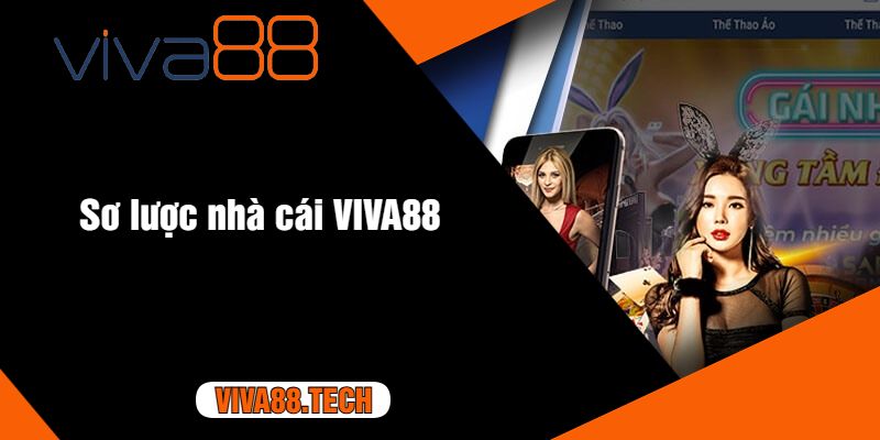 Sơ lược nhà cái VIVA88