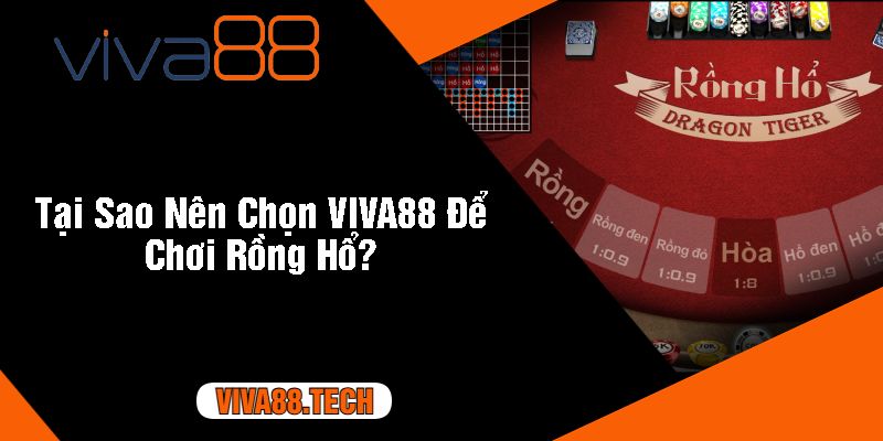 Tại Sao Nên Chọn VIVA88 Để Chơi Rồng Hổ