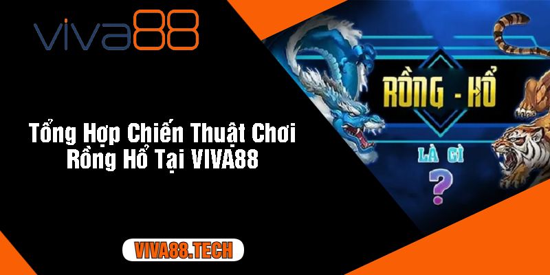 Tổng Hợp Chiến Thuật Chơi Rồng Hổ Tại VIVA88