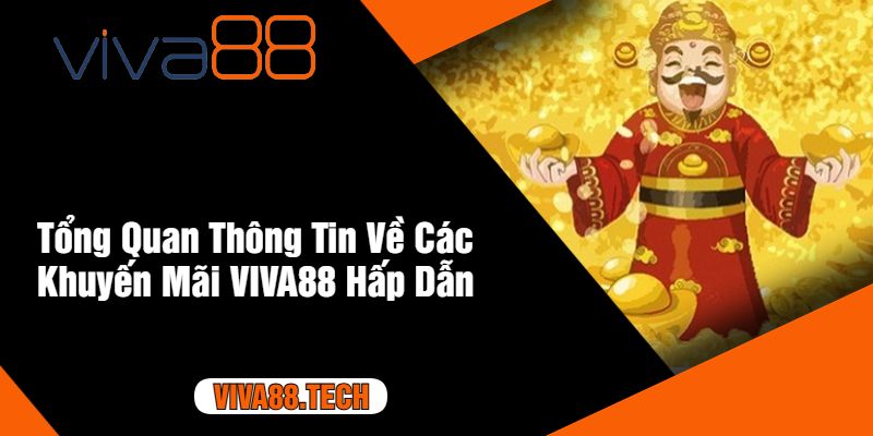 Tổng Quan Thông Tin Về Các Khuyến Mãi VIVA88 Hấp Dẫn