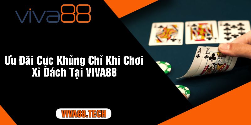 Ưu Đãi Cực Khủng Chỉ Khi Chơi Xì Dách Tại VIVA88