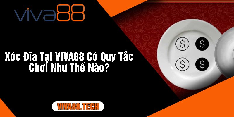 Xóc Đĩa Tại VIVA88 Có Quy Tắc Chơi Như Thế Nào